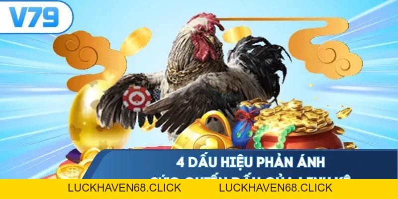 Mẹo Đá Gà Cựa Dao - Đọc Vị Chiến Kê Bắt Kèo Chuẩn Xác Nhất - Luckhaven68