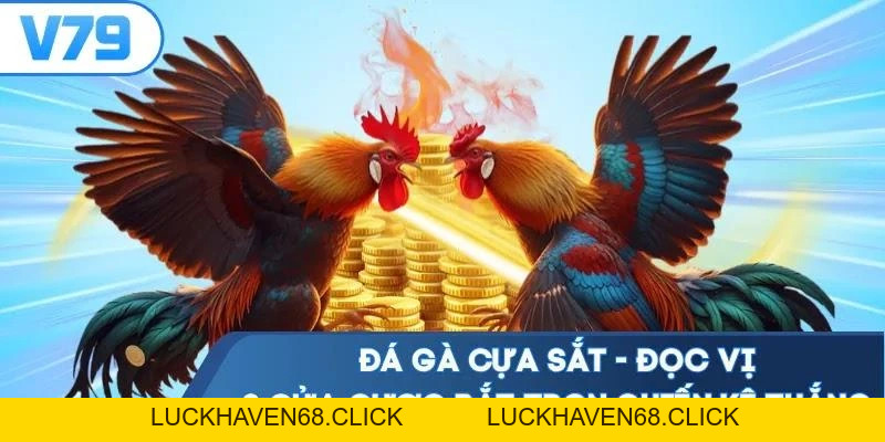Đá Gà Cựa Sắt - Đọc Vị 3 Cửa Cược Bắt Trọn Chiến Kê Thắng - Luckhaven68