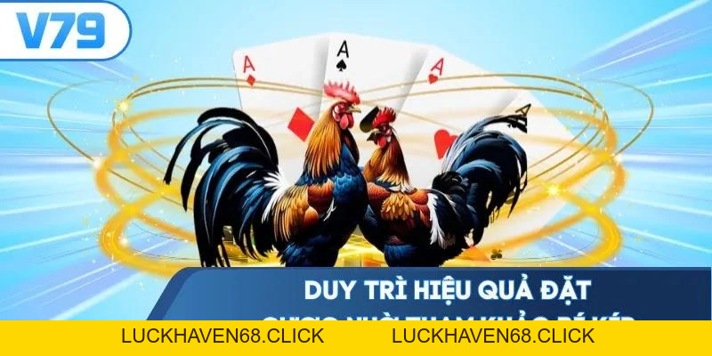 Đá Gà Thomo V79- Thưởng Thức Màn Chọi Kê Bùng Nổ 2026 - Luckhaven68