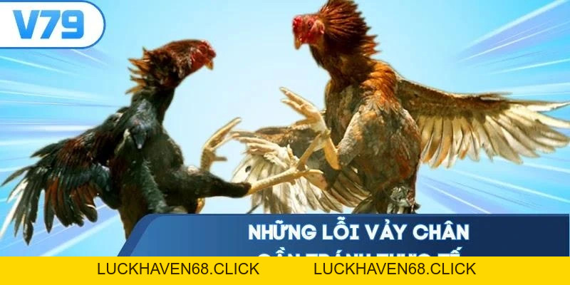 Vảy Gà Đá Hay - Canh Chuẩn 5 Thế Bám Ngón Hạ Đối Thủ Gọn - Luckhaven68