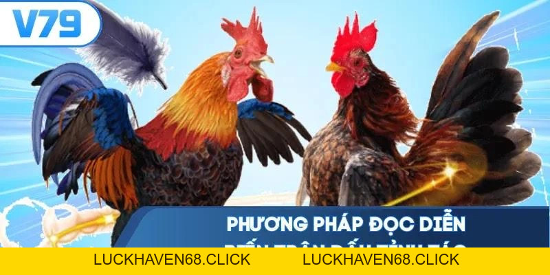 Mẹo Đá Gà Cựa Dao - Đọc Vị Chiến Kê Bắt Kèo Chuẩn Xác Nhất - Luckhaven68