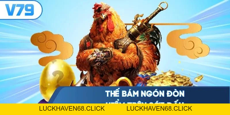 Vảy Gà Đá Hay - Canh Chuẩn 5 Thế Bám Ngón Hạ Đối Thủ Gọn - Luckhaven68