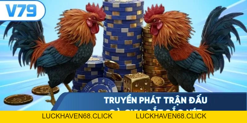 Đá Gà Cựa Sắt - Đọc Vị 3 Cửa Cược Bắt Trọn Chiến Kê Thắng - Luckhaven68