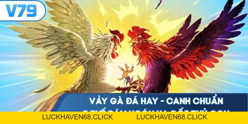 Vảy Gà Đá Hay - Canh Chuẩn 5 Thế Bám Ngón Hạ Đối Thủ Gọn - Luckhaven68